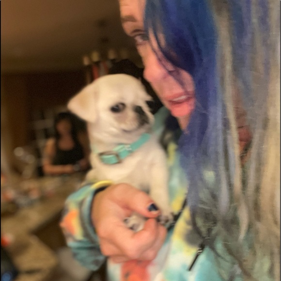 Meet your Posher, Rachael - Picture 5 of 16